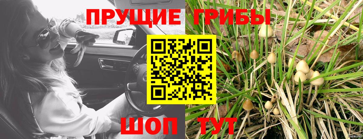 Улан-Удэ  Галлюциногенные грибы мицелий  Вход с VPN 